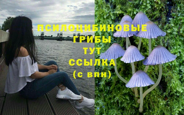ECSTASY Аркадак