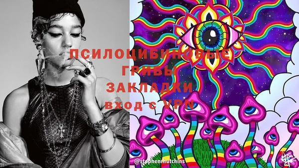 мдпв Арсеньев