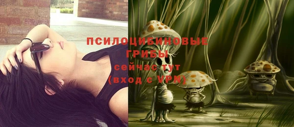таблы Алзамай