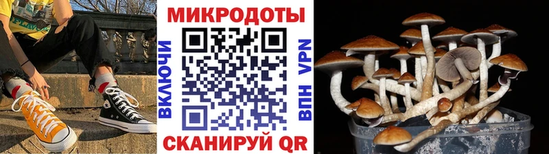 Псилоцибиновые грибы мухоморы Снежногорск