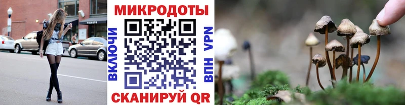 Галлюциногенные грибы мицелий  как найти закладки  Снежногорск 